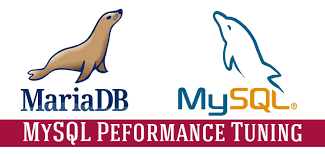 8 cara Mengoptimalkan database MySQL menggunakan MySQLTuner dan settingan optimasinya